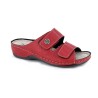 PATIS E23 36 41
